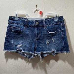 Booty Shorts